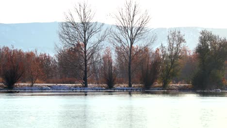 man walking his dog around a lake in boulder, colorado