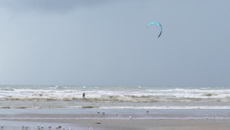 tracking shot of unrecognizable person kiteboarding, oostduinkerke beach, belgium
