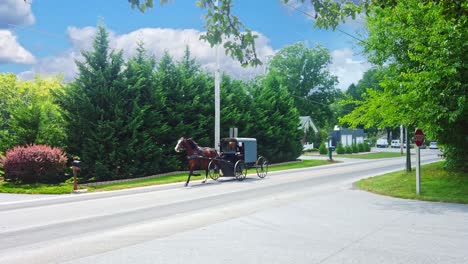 an amish horse and buggy trotting along a country road on a sunny summer day