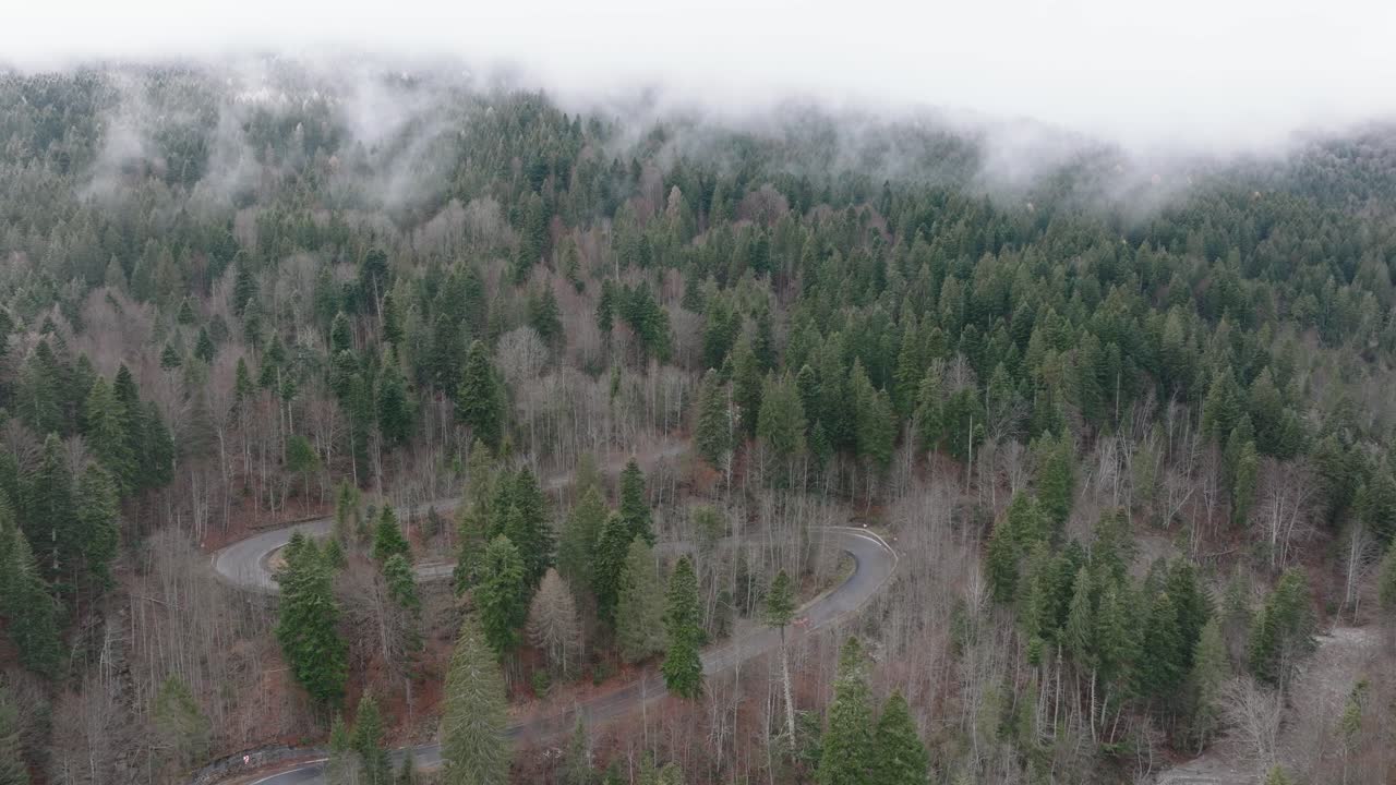Kaunis vihreä koskematon metsä ja mutkitteleva tie Bucegi-vuorilla, Romaniassa.