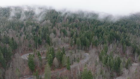 Beautiful-Green-Virgin-Forest-And-Zigzag-Road-n-Bucegi-Mountains,-Romania