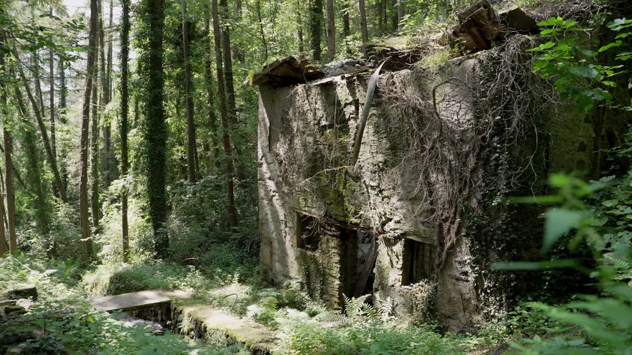 una vieja casa abandonada que se está cayendo a pedazos en medio del bosque