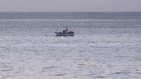 Wide-view-of-the-fishing-boat-followed-by-a-flock-of-seagulls,-in-the-blue-ocean,-in-the-Atlantic-sea,-on-the-coast-of-São-Pedro-do-Estoril,-on-a-sunny-day,-in-Cascais,-Portugal