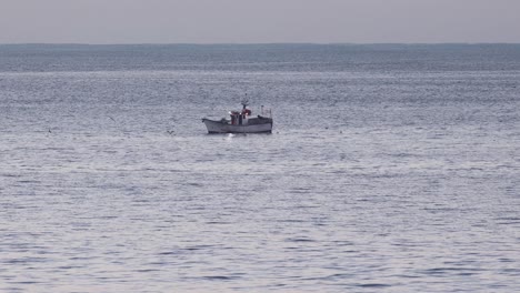 amplia vista del barco pesquero seguido por una bandada de gaviotas, en el océano azul, en el mar atlántico, en la costa de são pedro do estoril, en un día soleado, en cascais, portugal