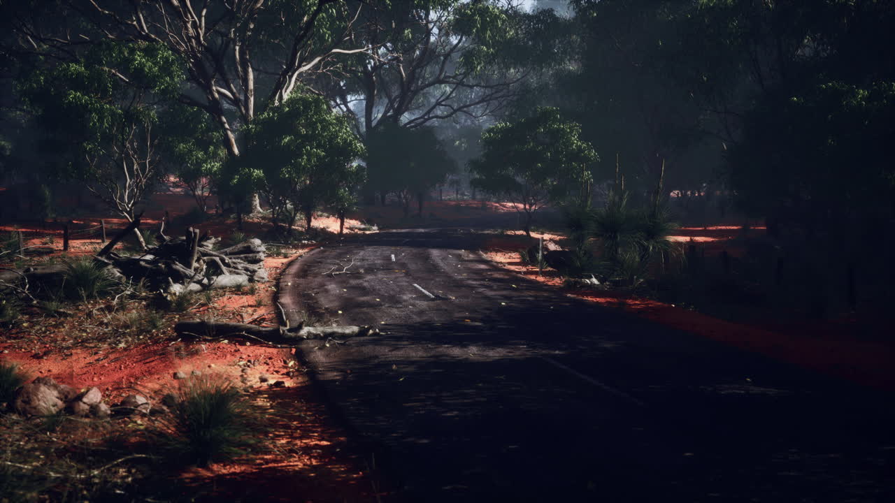 panorámico camino de campo a través del bosque australiano