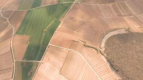 A-Dynamic-diving-aerial-view-of-the-Vineyards-in-Chablis,-France-where-a-sprayer-tractor-is-fertilizing-the-crops