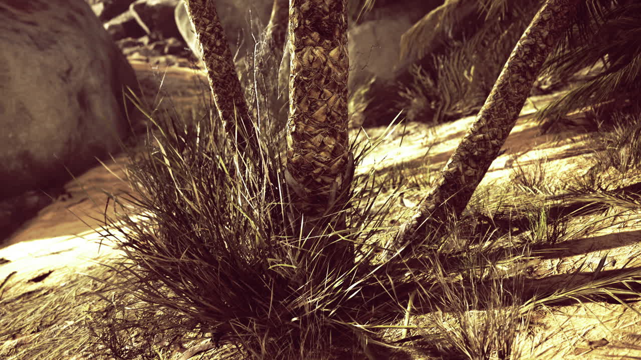 Exploring the serene beauty of a sunlit tropical landscape at midday
