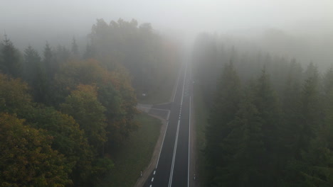 Aerial-shot-along-empty-straight-highway-through-tall-forest-in-thick-fog-clouds