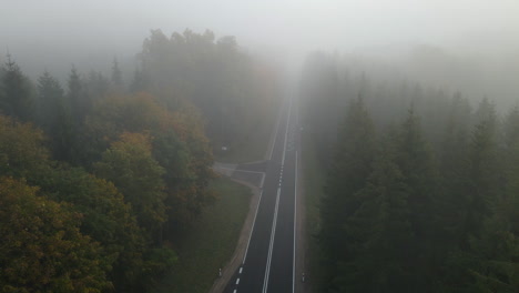 Toma-Aérea-A-Lo-Largo-De-Una-Carretera-Recta-Vacía-A-Través-De-Un-Bosque-Alto-En-Espesas-Nubes-De-Niebla