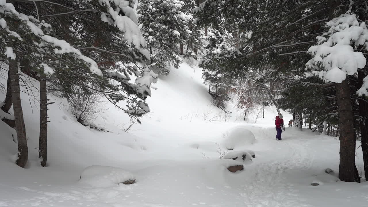 mujer solitaria en el frío paisaje montañoso invernal, caminando sobre la nieve entre bosques