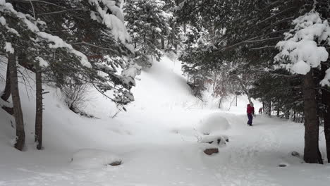 Lonely-Female-in-Cold-Winter-Mountain-Landscape,-Walking-on-Snow-Between-Woods