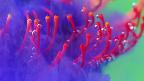 abstract colorful flower in dye