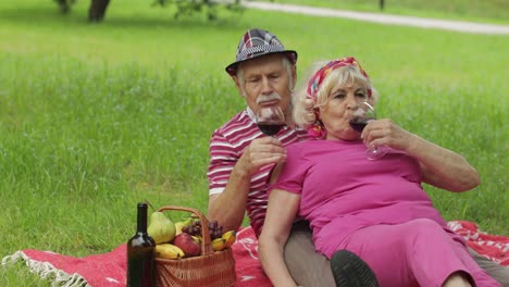 family weekend picnic in park. active senior old caucasian couple sit on blanket and drink wine