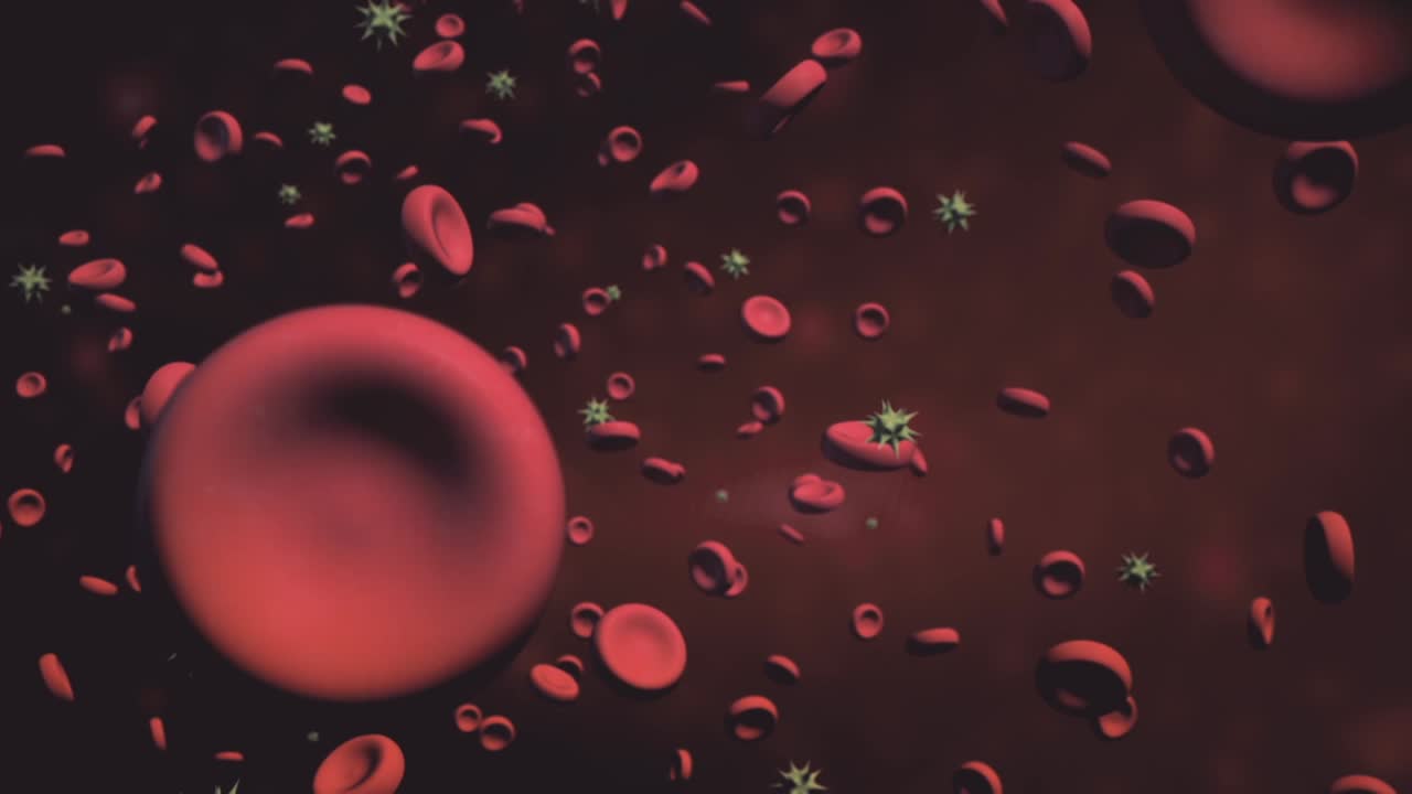 células sanguíneas y patógenos