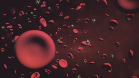 cellule del sangue e patogeni