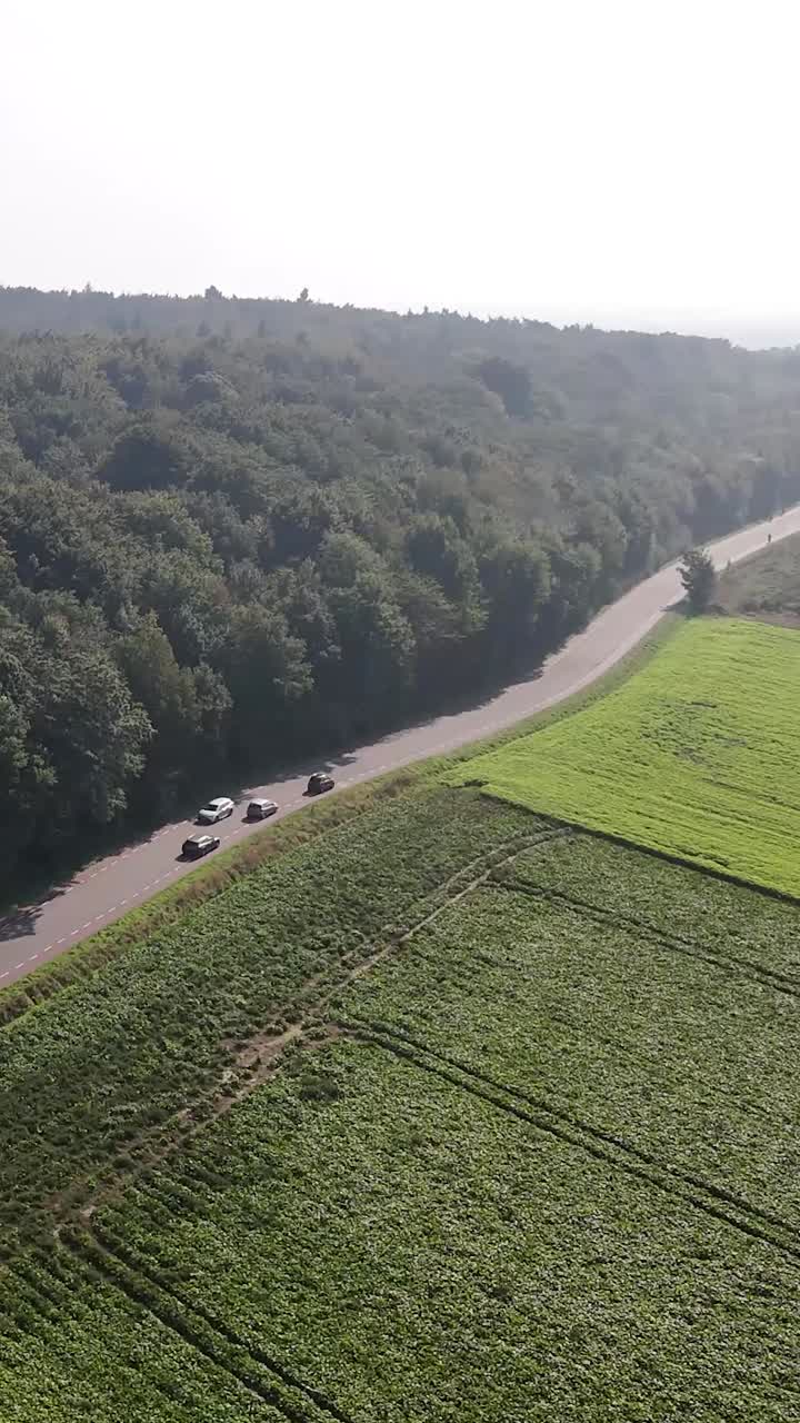 Cars on a Road Through Forest and Fields
