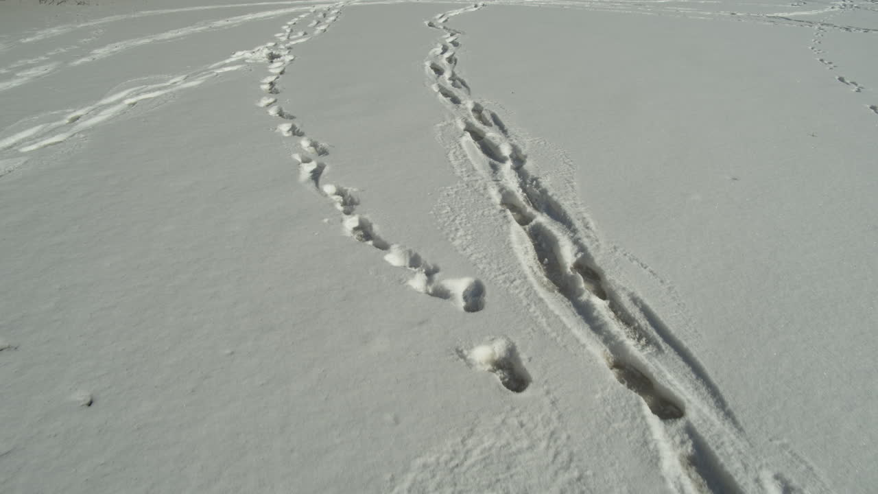 Footwalk snow tracks imprinted through the ground over Harasov Frozen lake in Kokorin, Czech Republic - wide high angle push in tracking shot