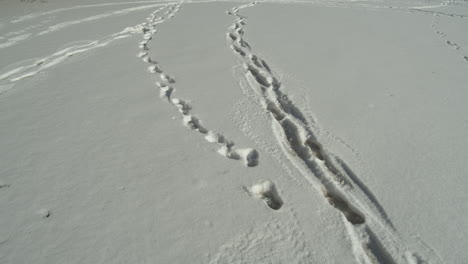 Footwalk-snow-tracks-imprinted-through-the-ground-over-Harasov-Frozen-lake-in-Kokorin,-Czech-Republic---wide-high-angle-push-in-tracking-shot