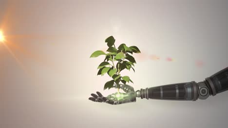 animation of growing plant in hand of robot arm, with orange light on grey background