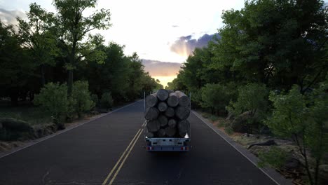 transports heavy logs down an empty asphalt highway crossing the beautiful forest, freight truck hauls heavy logs down the rural freeway