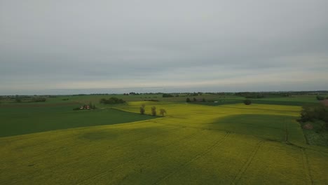 Wide-Open-Swedish-Country-Landscape-in-Bollerup-Österlen-in-Southern-Sweden-Skåne,-Aerial-Slow-Wide-Shot