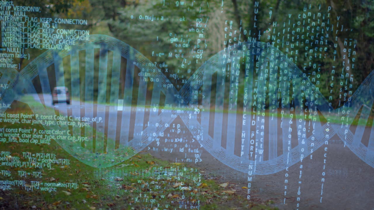 DNA strand and binary coding, scientific data processing animation over forest path