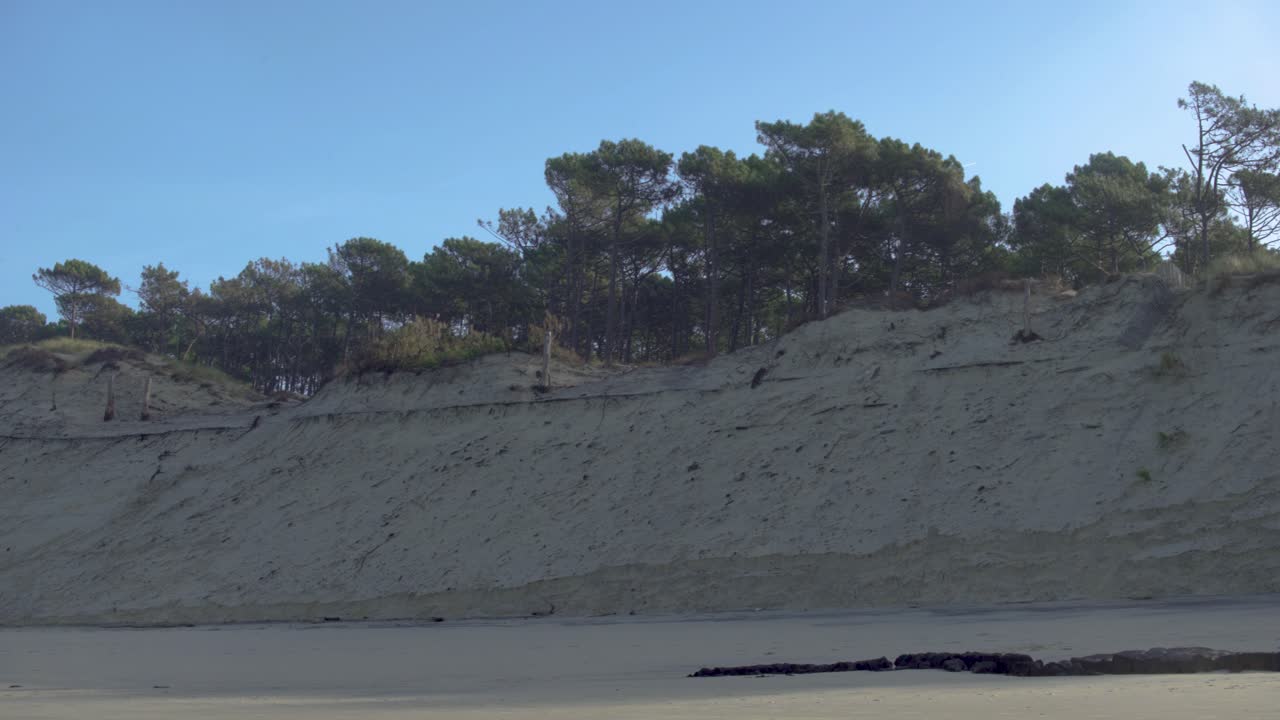 Sand dune, sand cliff with a forest, trees on the ridge. Early morning, blue sky and sun. Beach and sea. Walkers coming from the horizon