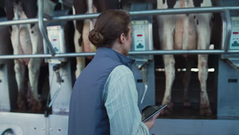 livestock worker inspecting milking machinery closeup. modern dairy production.