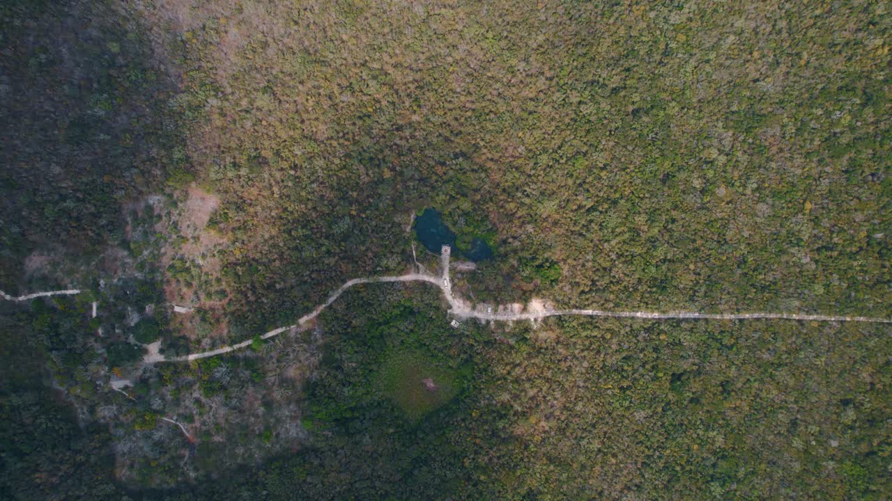 vista aérea de arriba hacia abajo de un abrevadero en tulum, méxico con bosque alrededor