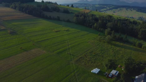 pasture land fields in podhale region, tatra mountains in southern poland