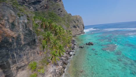 Fast-fpv-movement-along-a-tropical-coast-with-palm-trees-and-crystal-clear-water