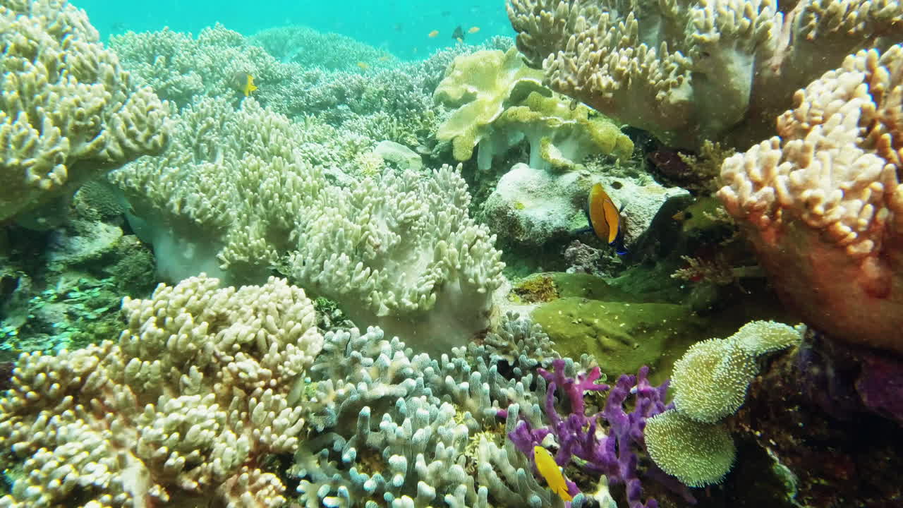 existe todo un otro mundo bajo la superficie.