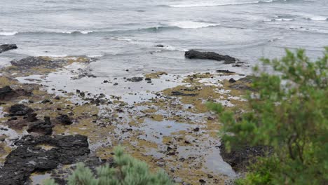 waves crashing against a rocky shoreline, with water splashing and foam rising, showcasing the power of the ocean.
