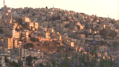 un plano general de los barrios cerca de amman jordan 1