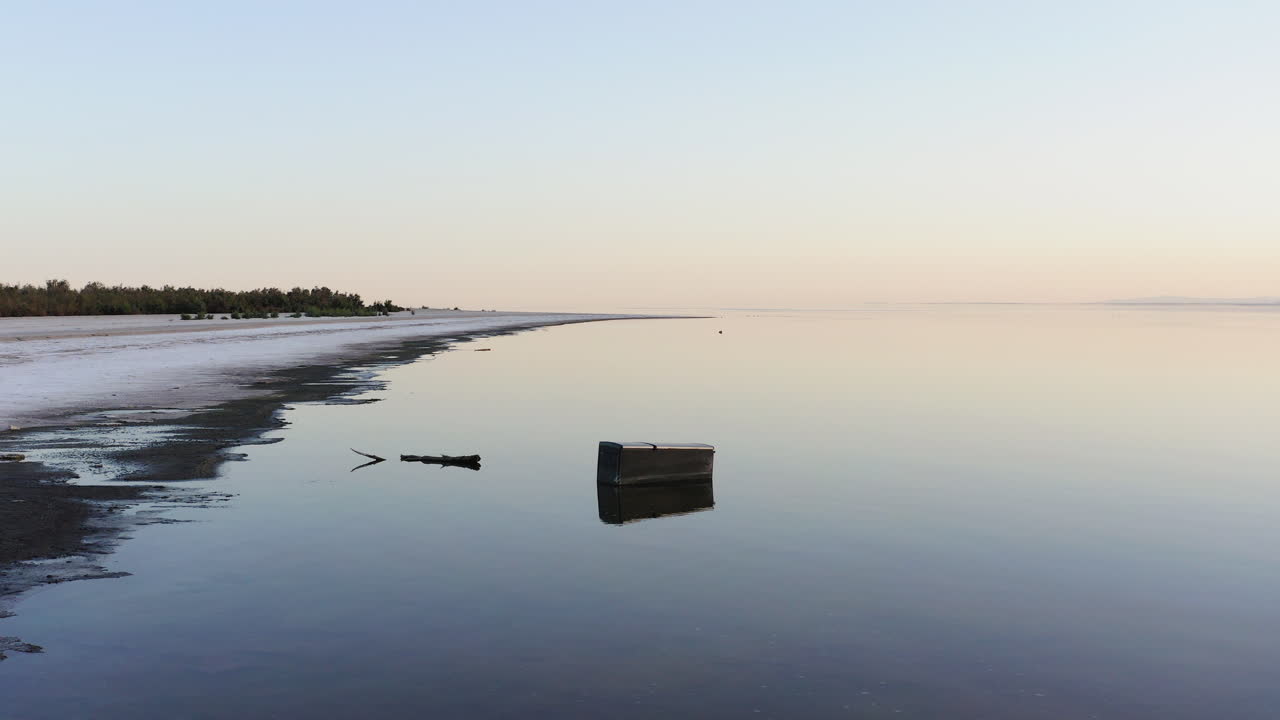 Mojave's serene Salton Sea at dawn with a solitary Great Egret wading
