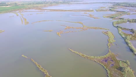 無人機飛行在沼澤和淹沒的田野上空