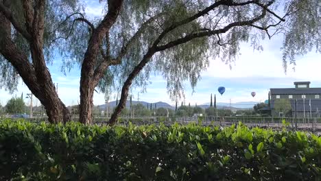 paisaje de viñedos vista panorámica de globos aerostáticos en la distancia en temecula, california