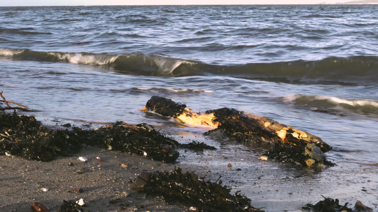 в штормовую погоду - высокие волны на балтийском море