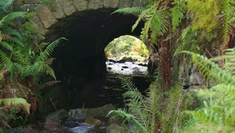 old stone bridge standing over a slow moving moorland stream