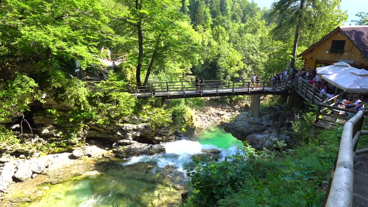 Paesaggio panoramico fluviale e forestale con ponte