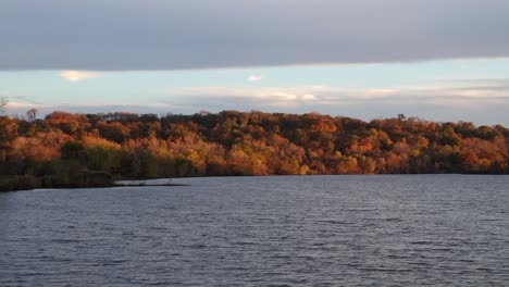 Malerische-Aussicht-Auf-Die-Wellen-Des-Sees-Und-Den-Herbstwald