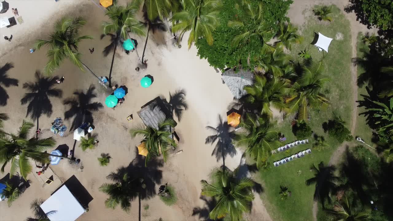 fotografía cenital de una hermosa playa brasileña sobrevolando palmeras y sombrillas