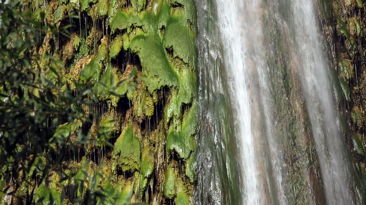 hermoso rincón del paraíso en la naturaleza