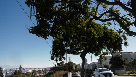 wind-condition-and-speeds--picking-up