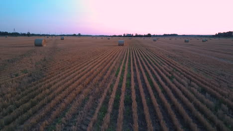 Flying-Above-the-Field-With-Hay-Rolls-Sunrise