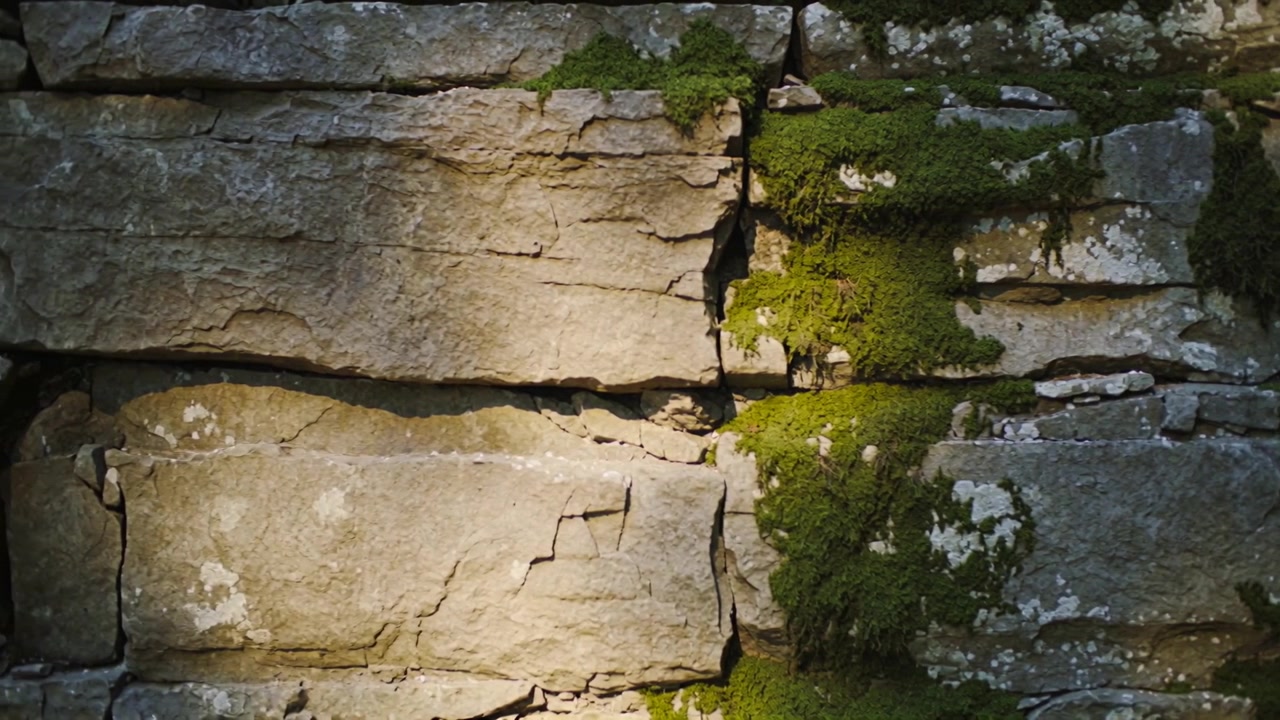 Shifting sunlight moving across layered stone wall in wooded area, revealing moss and lichen