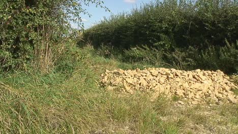 Ein-Eingang-Zu-Einem-Feld-In-Der-Ländlichen-Grafschaft-Rutland-Im-Vereinigten-Königreich,-Der-Durch-Eine-Ladung-Sandstein-Am-Eingang-Blockiert-Wurde,-Um-Zu-Verhindern,-Dass-Fahrzeuge-Auf-Das-Feld-Fahren