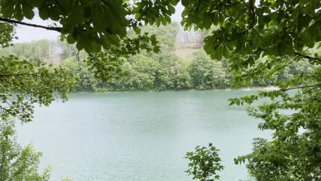 shot through a tree on a small lake in germany