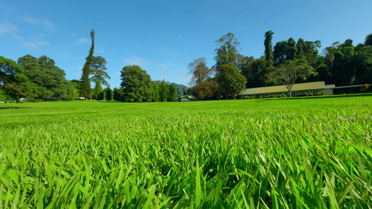 césped verde con edificio en el parque
