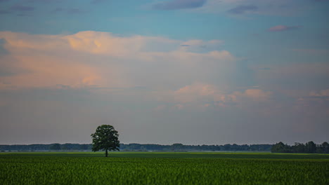agricultural tractors working on vast farmland at dusk